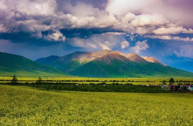 src=http___www.mojjis.com_mediaLibrary_imageLibrary_images_20211224_20211224130312_30525.jpg&refer=http___www.winyeahs.webp.jpg
